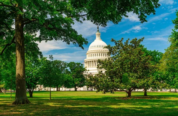 Washington Abd Çeşitli Ağaçlar Yeşil Çimlerle Kaplı Güzel Bir Bahçede — Stok fotoğraf