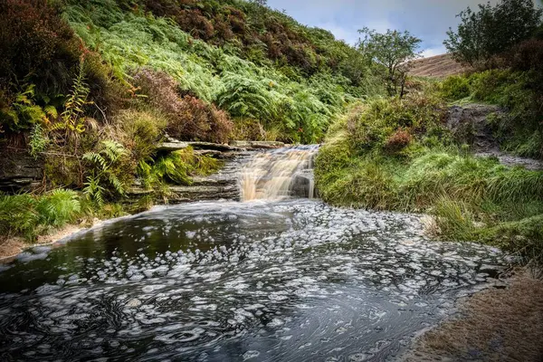 Malebný Pohled Řeku Která Řítí Vodní Nádrže Lese Obklopeném Zelenou — Stock fotografie