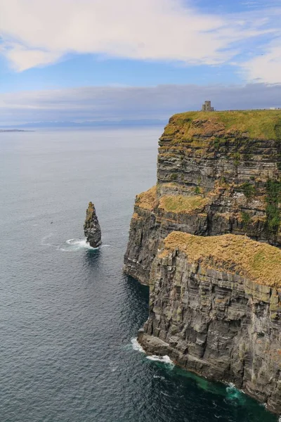 アイスランドの海岸近くの母の崖の垂直ドローンショット — ストック写真