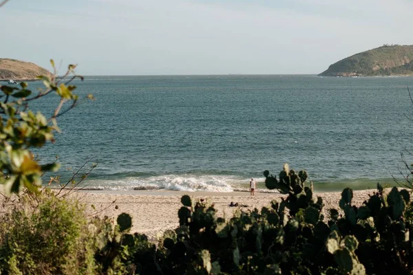 Una Vista Dietro Verde Una Persona Sola Sulla Spiaggia Guardare — Foto Stock