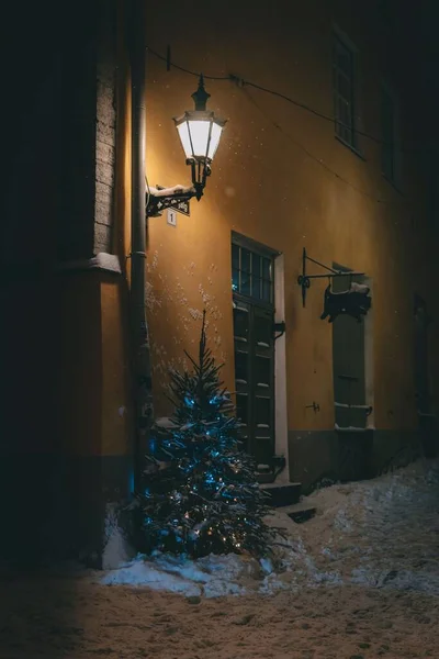 Uma Árvore Natal Perto Edifício Noite — Fotografia de Stock