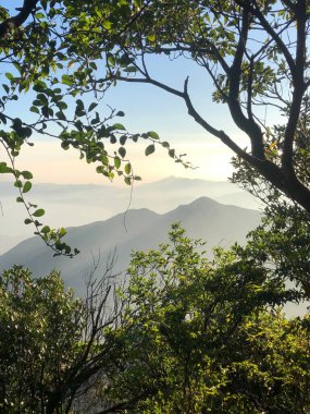Dağlara karşı ağaçların üzerindeki yaprakların ve dalların doğal görüntüsü