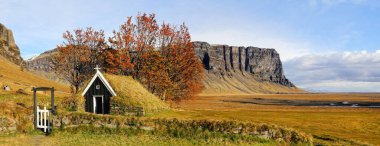 İzlanda 'da sonbaharda ormandaki modern evlerin panoramik bir görüntüsü.