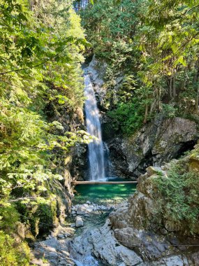 Ormanda nehre akan bir şelalenin güzel manzarası.