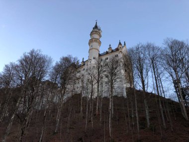 Schwangau, Almanya 'da çıplak ağaçlarla çevrili beyaz bir Neuschwanstein Kalesi' nin alçak açısı