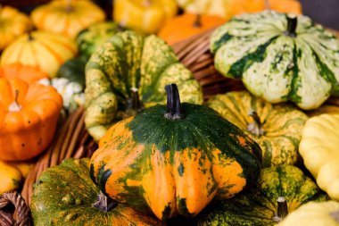 Rastgele bir kazıkta toplanan renkli balkabaklarının yakın plan çekimi.