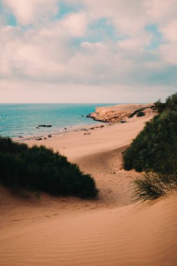 Büyüleyici denizin dikey görüntüsü ve tepenin önünde dinlenen insanlarla dolu bir kıyı şeridi.