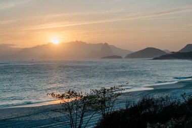 Güneş doğarken arkasında dağ olan bir bitki silueti ve deniz.