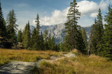 Dağın yamacındaki yeşil yaylalara giden bir patika kayalık tepelere karşı.