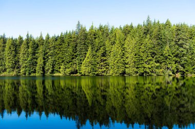 Sasamat Gölü 'nün güzel bir manzarası, Kanada, Britanya Kolumbiyası ilkbaharda