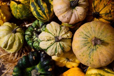 Rastgele bir kazıkta toplanan renkli balkabaklarının yakın plan çekimi.