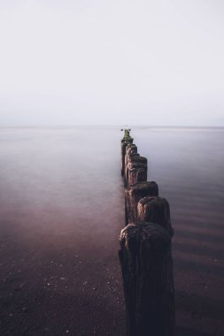 Deniz kıyılarını deniz dalgalarının yıkıcı etkilerinden koruyan tahta kutupların dikey görüntüsü.