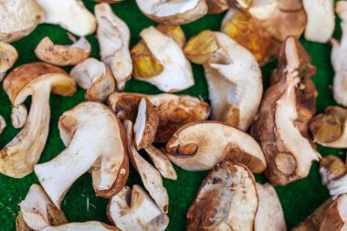 Almanya 'da bir pazar yerinde yakın plan Porcini mantarları (Boletus edulis).