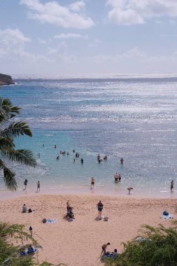 Bir grup insan şnorkelle yüzüyor ve Hanauma Körfezi, O 'ahu Adası, Hawaii Kai sahilinde eğleniyor.