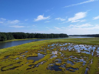 Etrafı yeşilliklerle çevrili bir nehrin havadan görünüşü.