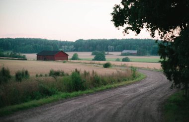 Kırsaldaki eski ahırlara giden çakıl yolu.