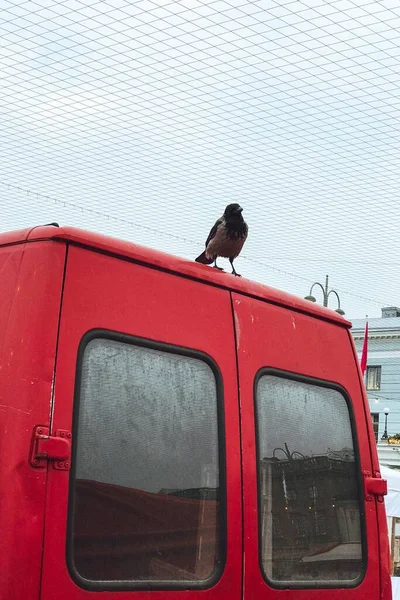 Eine Vertikale Aufnahme Eines Raben Corvus Auf Einem Roten Lkw — Stockfoto