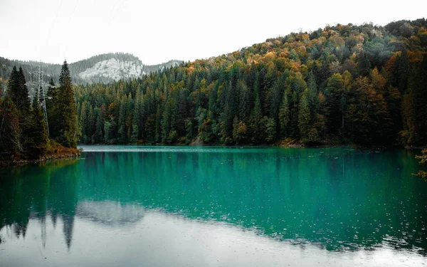 Eine Flache Aufnahme Eines Schönen Sees Der Nähe Des Waldes — Stockfoto
