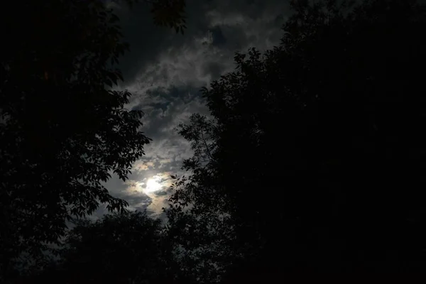 Noční Obloha Měsícem Letního Večera — Stock fotografie
