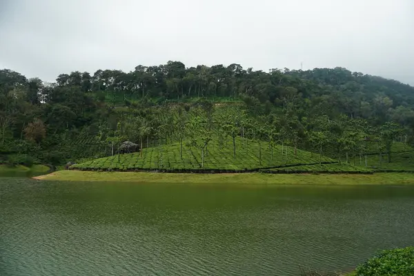绿树成荫的山坡附近的一个湖 — 图库照片