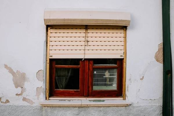 Pencerenin Arkasındaki Kafeste Bir Papağanın Yakın Çekimi — Stok fotoğraf