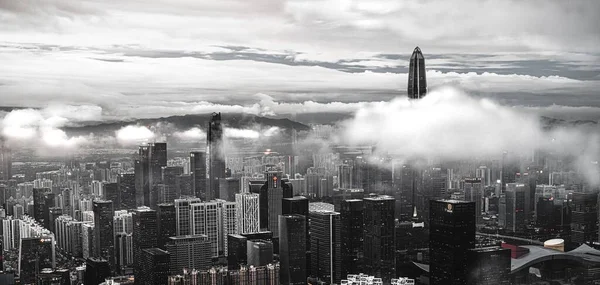 Shenzen Sisli Şehir Manzarasının Panoramik Gri Ölçekli Görüntüsü — Stok fotoğraf