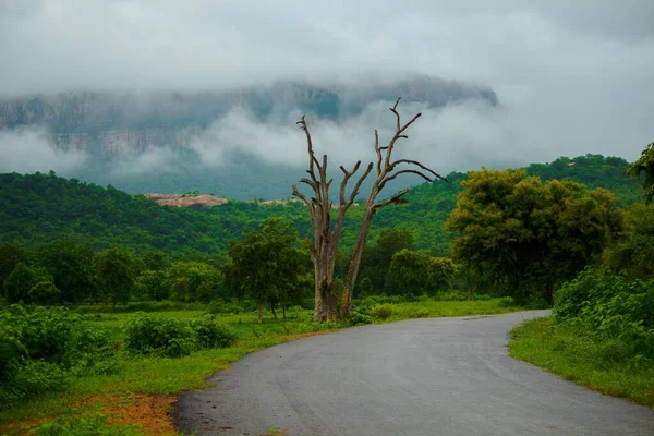 Güzel Bir Manzara Ağaçlar Dağlarla Çevrili Bir Yol — Stok fotoğraf