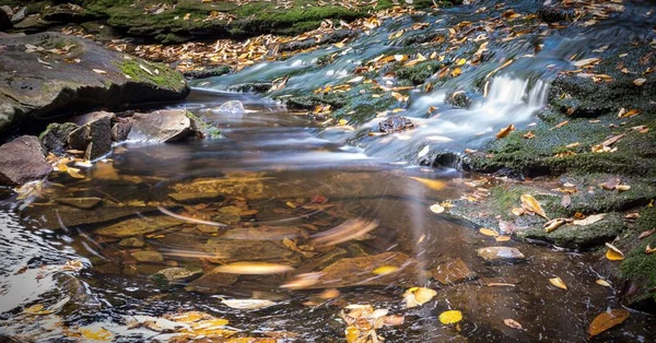 Voda Tekoucí Mechem Porostlými Kameny — Stock fotografie