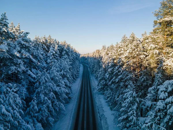 Mavi Gökyüzünün Altındaki Yemyeşil Karla Kaplı Bir Ormandan Geçen Asfalt — Stok fotoğraf
