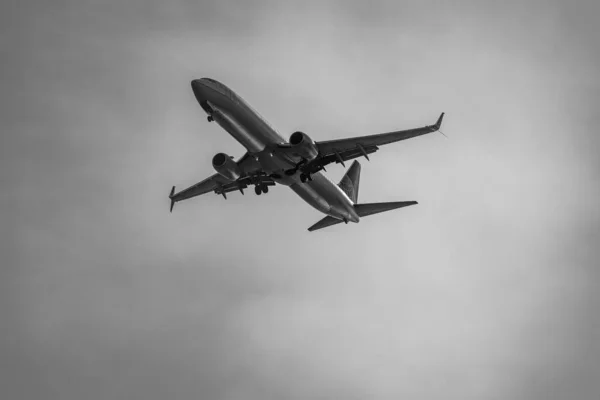 Graustufenaufnahme Eines Flugzeugs Himmel — Stockfoto