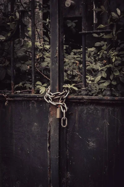 Zincirli Asma Kilitli Metal Bir Kapı — Stok fotoğraf