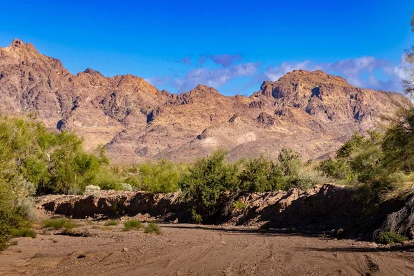 Een Bergketen Arizona Woestijn Met Een Skyscape Achtergrond — Stockfoto