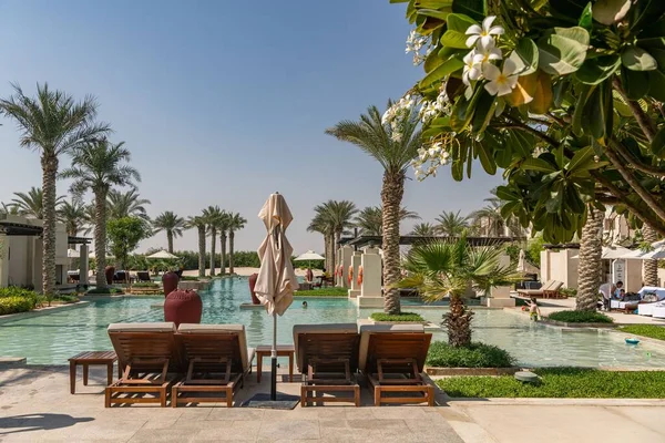 Al Wathba Desert Resort ve Spa 'da palmiye ağaçları ve kabinlerle dolu uçsuz bucaksız sonsuz bir havuz.