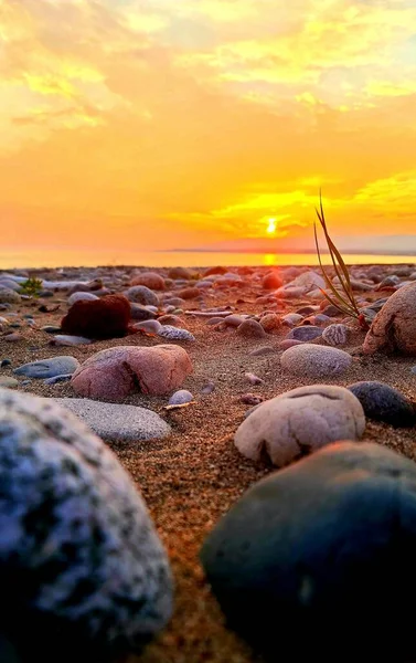 Pionowe Zbliżenie Zachodu Słońca Nad Plażą Złotym Tle Nieba — Zdjęcie stockowe