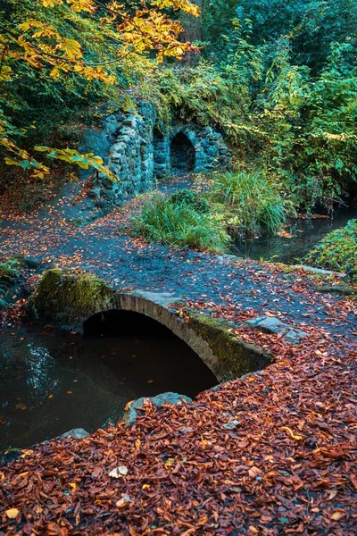 Plan Vertical Petit Pont Dessus Ruisseau Dans Une Forêt Couverte — Photo