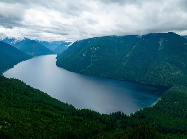Воздушный Кадр Видом Красивый Ярко Зеленый Лес Озеро Флора — стоковое фото