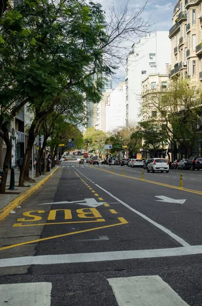 Pionowe Ujęcie Przestrzeni Autobusowej Przeznaczonej Parkowania Drzewami Stronie Ulicy Samochodami — Zdjęcie stockowe
