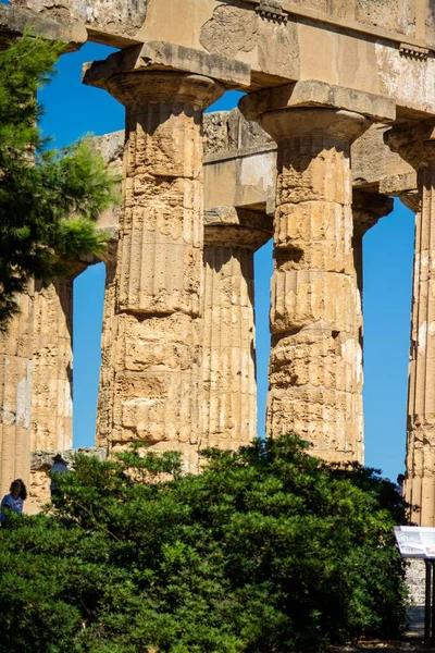 晴れた青空に対するイタリアのセリヌンテのヘラの古代寺院の垂直ショット — ストック写真