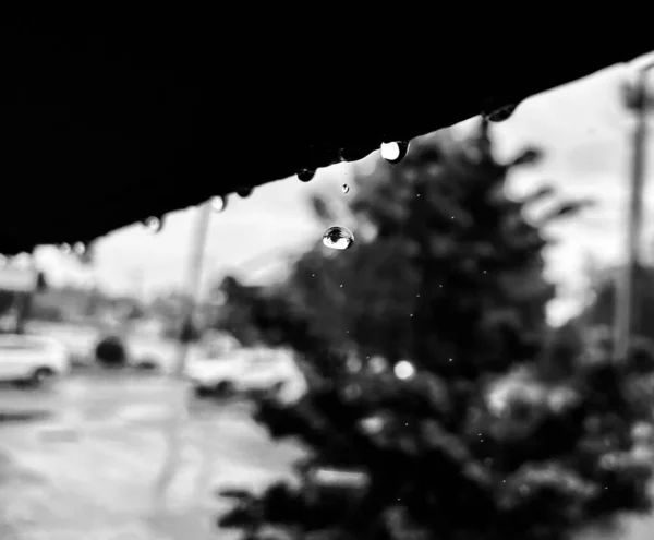 Zbliżenie Czarno Białe Ujęcie Kropel Wody Zwisających Dachu Rozmytym Tle — Zdjęcie stockowe
