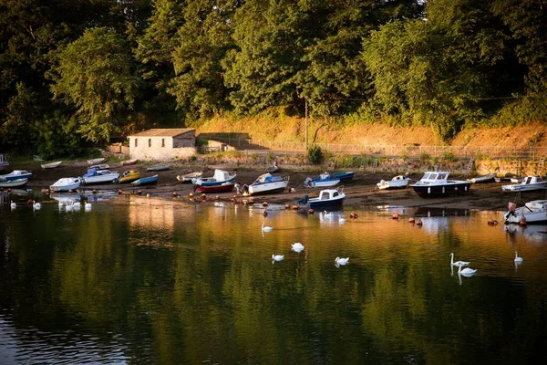 Beautiful Shore Lake Boats Swimming Swans — Stock Photo, Image
