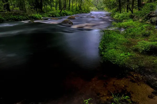 森林中一条河的美丽景色 — 图库照片
