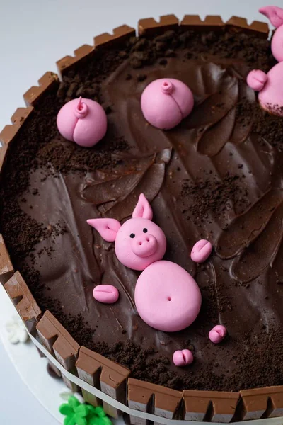 一个精美的巧克力蛋糕特写 设计成猪圈和猪 — 图库照片