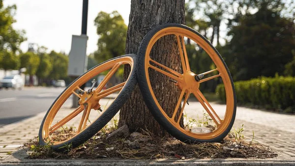 Rodas Bicicleta Pública Apoiadas Tronco Árvore Xangai China — Fotografia de Stock