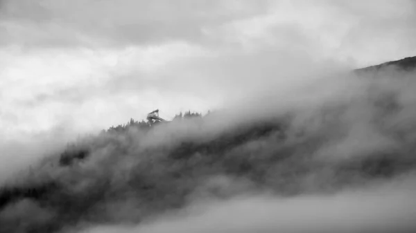 Grayscale Fog Covering Hill Dense Forest Daytime — Stock Photo, Image