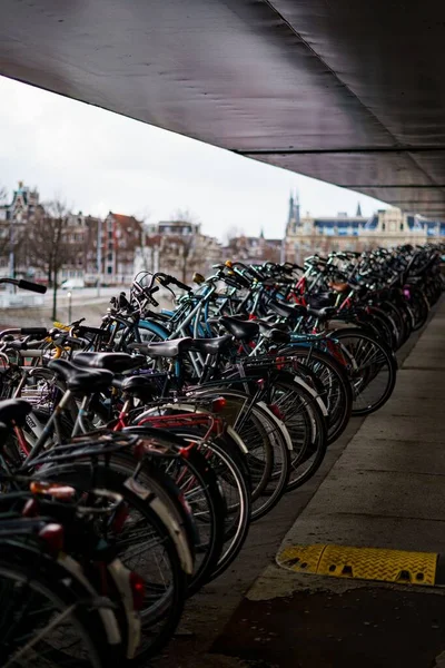 Vertikální Záběr Skupiny Kol Zaparkovaných Venku Amsterdamu — Stock fotografie