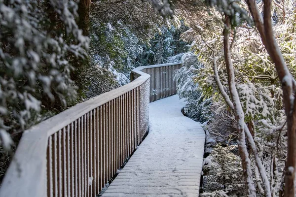 Malebný Pohled Dřevěný Most Zimě Pokrytý Bílým Sněhem Australské Tasmánii — Stock fotografie