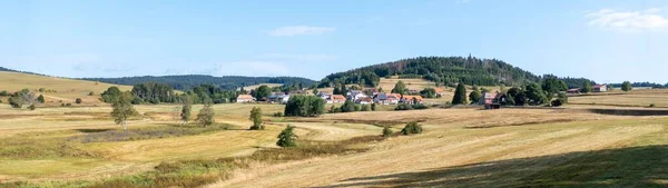 Ein Schöner Panoramablick Auf Häuser Einem Feld Mit Immergrünen Bäumen — Stockfoto