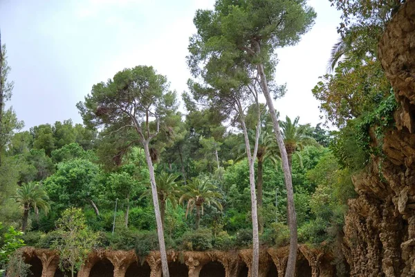 Здание Gaudi Waves Деревьями Заднем Плане Испания Каталония Барселона — стоковое фото