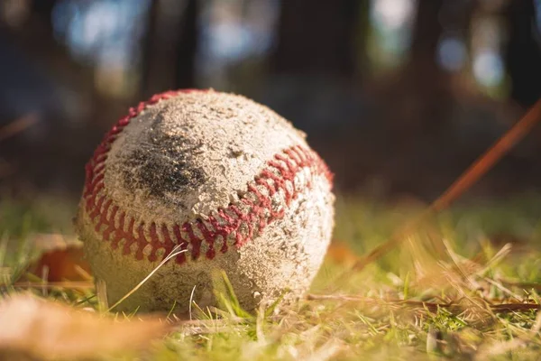 草地上的棒球特写镜头 — 图库照片
