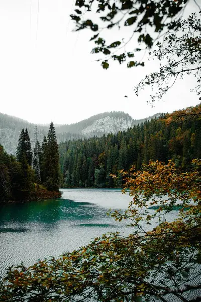Eine Vertikale Aufnahme Eines Schönen Sees Der Nähe Des Waldes — Stockfoto